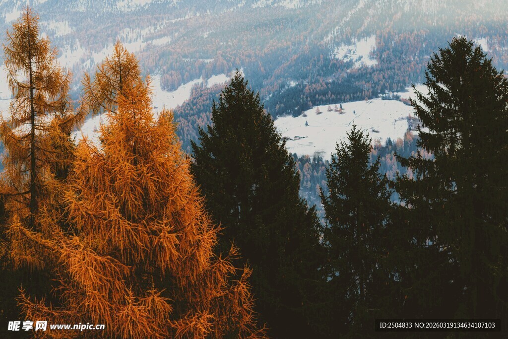 秋日山林雪景风光