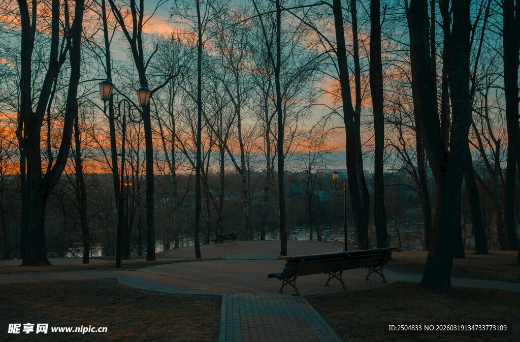 黄昏下的林间静谧小道