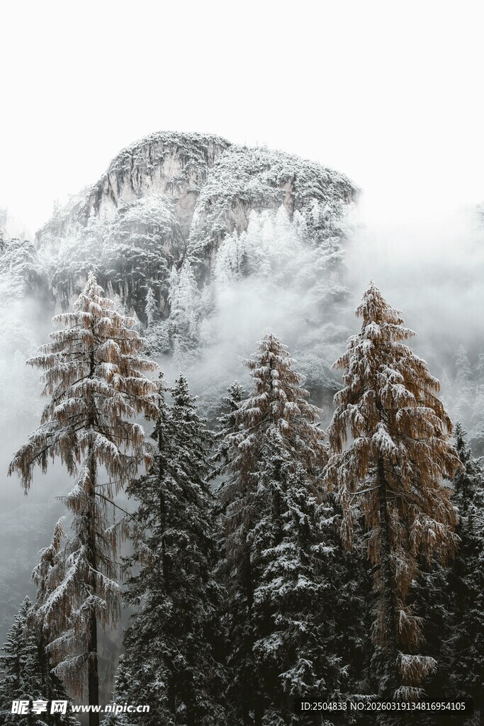 雪覆山林 云雾缭绕之景