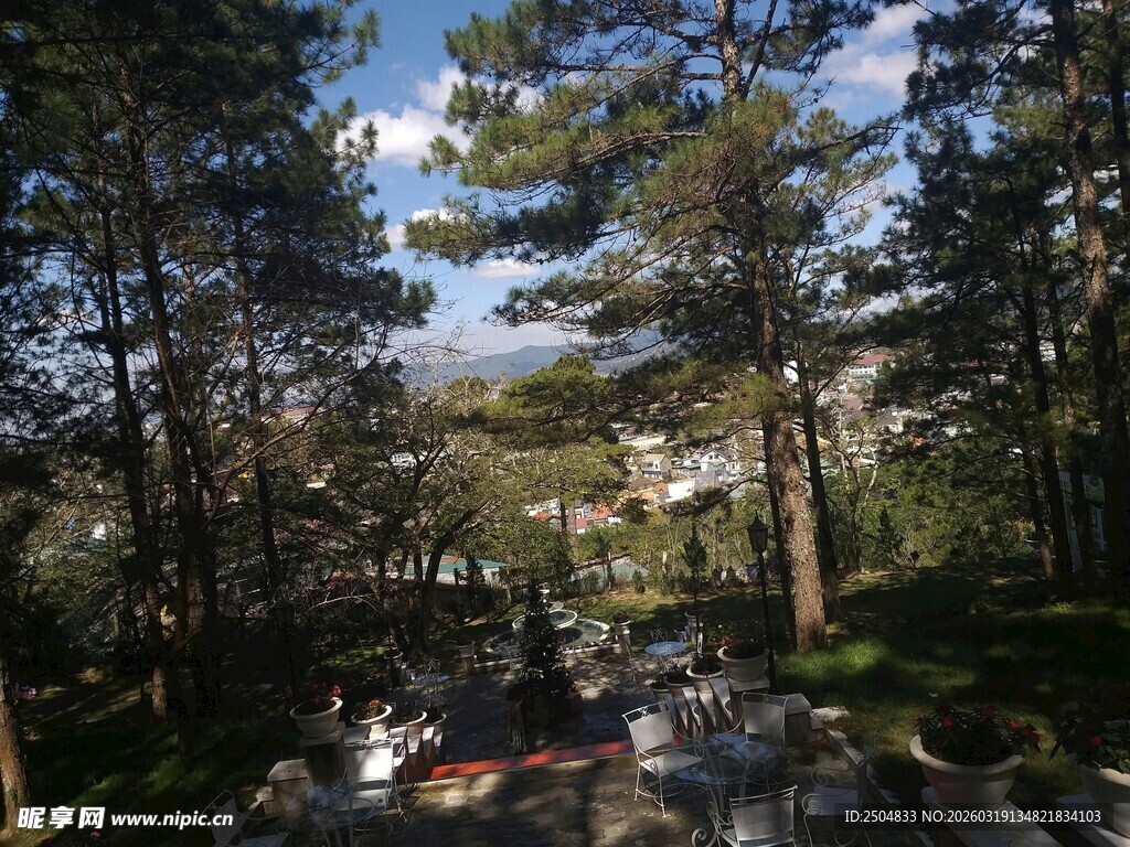 林间溪流自然风光美景