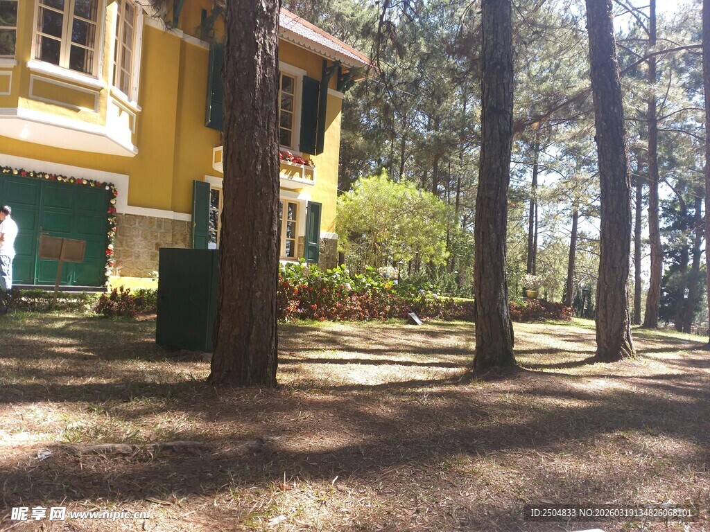 林间黄屋 静谧自然景致