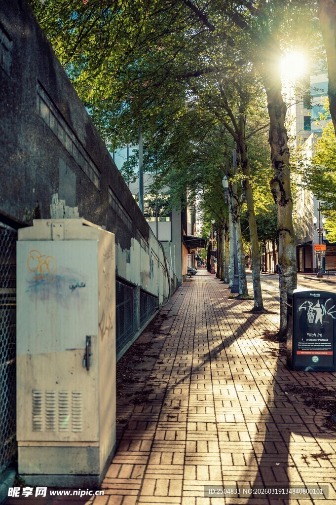 阳光洒落的静谧街道