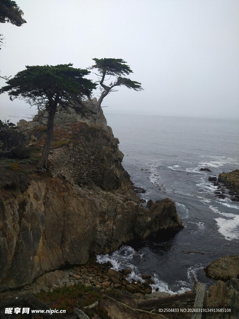 悬崖孤树旁的壮阔海景