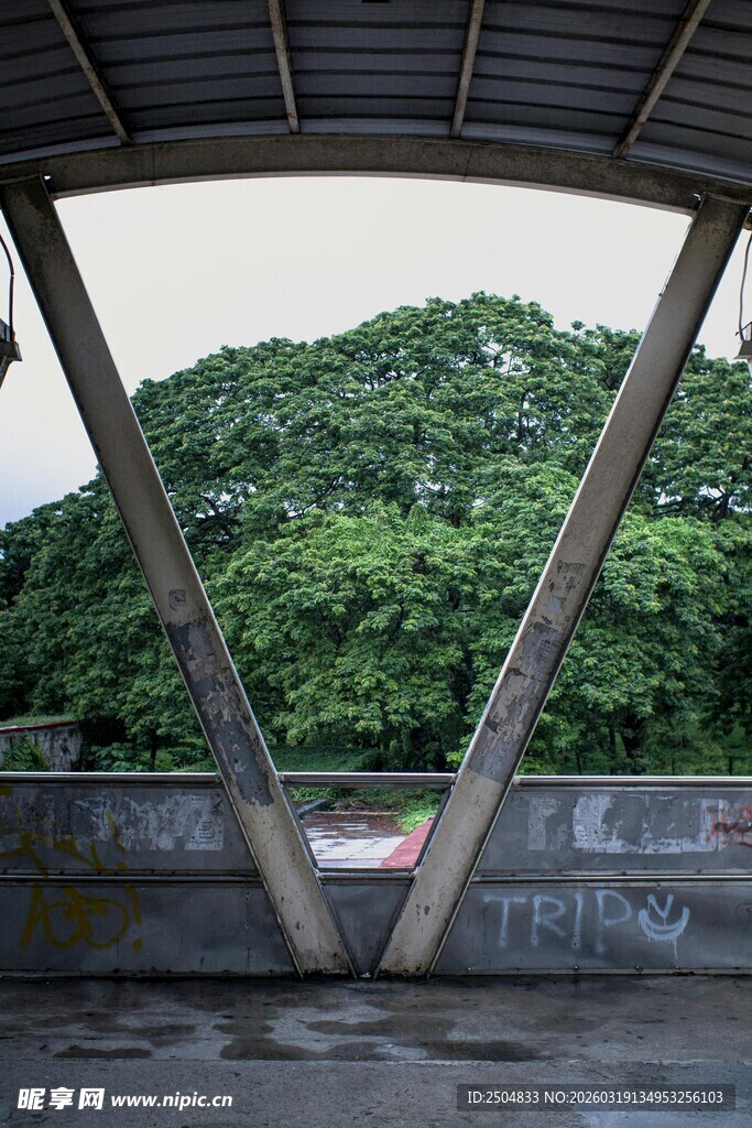 拱形结构下的绿植景观