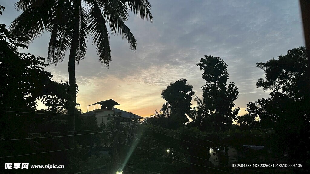 黄昏下的树木与朦胧天空