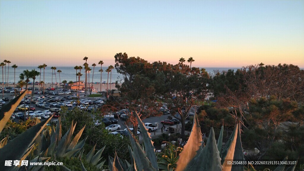 黄昏下的城市与绿植景观