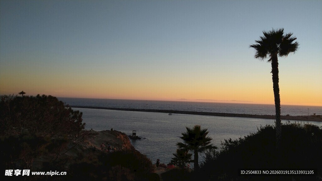 日落时分的海边棕榈树