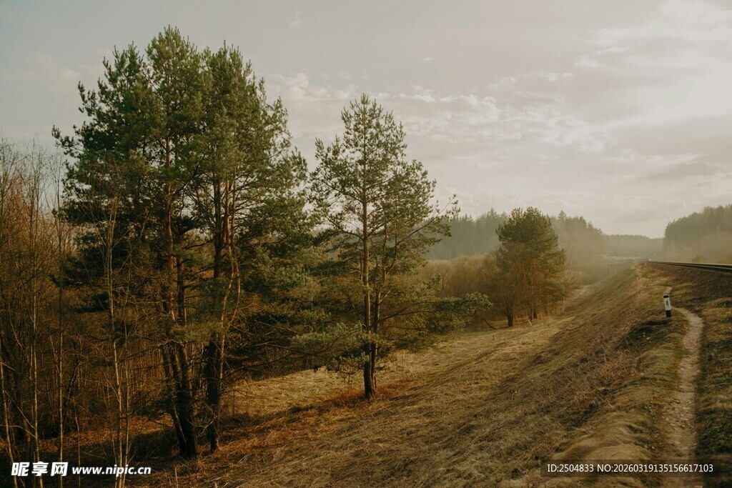 秋日林间小道风景