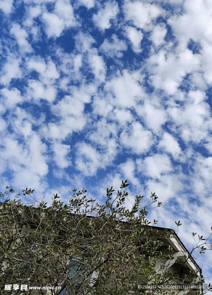 崖顶飞鸟与蓝天云朵