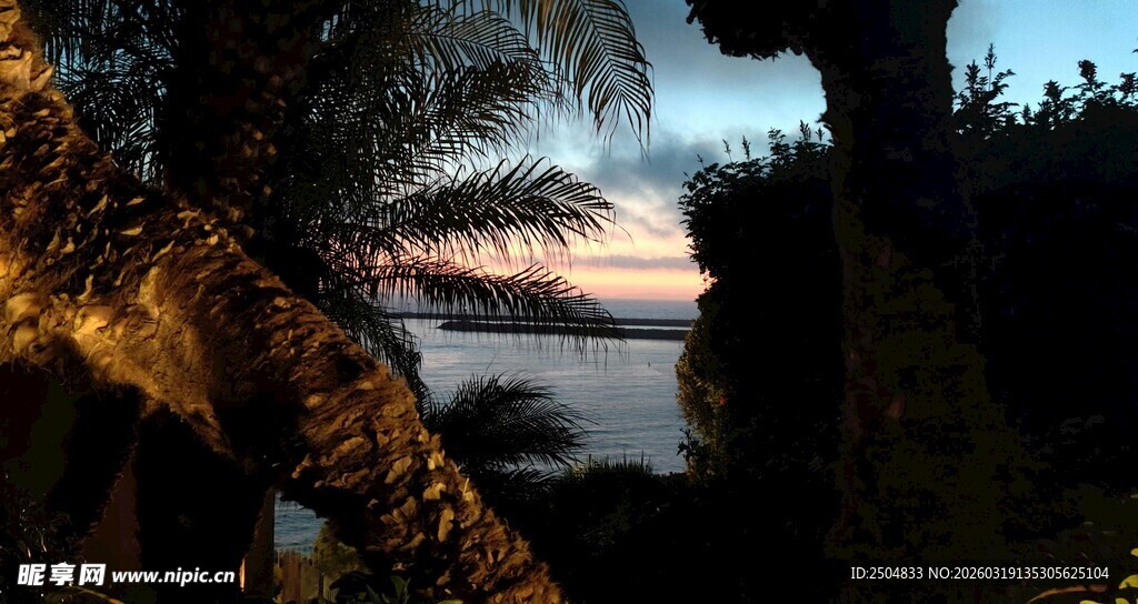 黄昏下的棕榈树与湖景