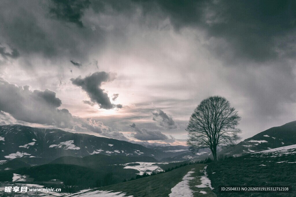 孤树伫立在旷野云海间