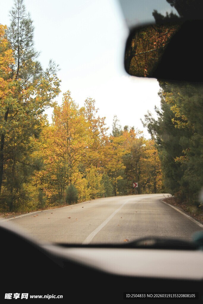 车内视角的秋日林间公路