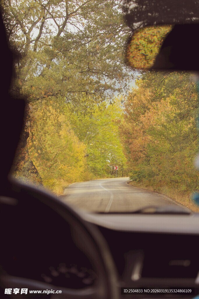车内视角赏秋日道路风景