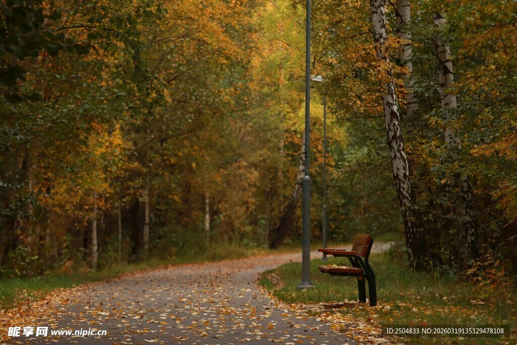 秋日林间小径与长椅