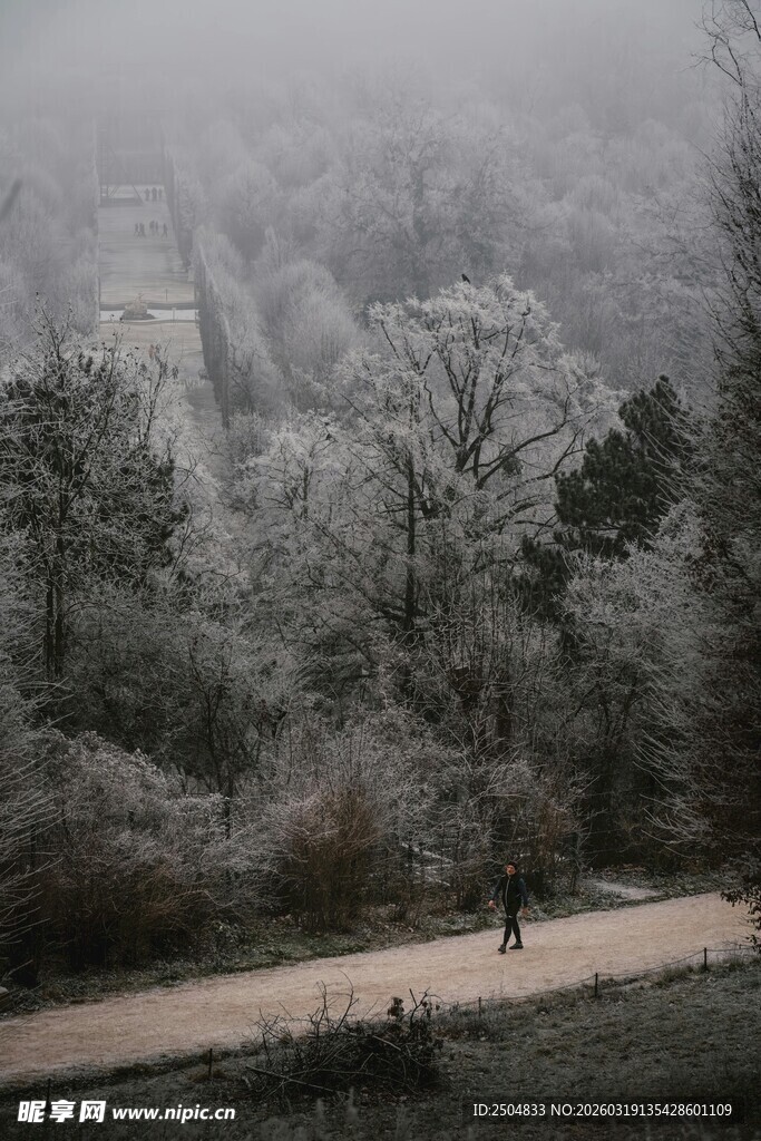 雾中幽静小道行人漫步