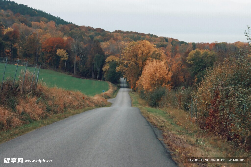 秋日乡间小路美景