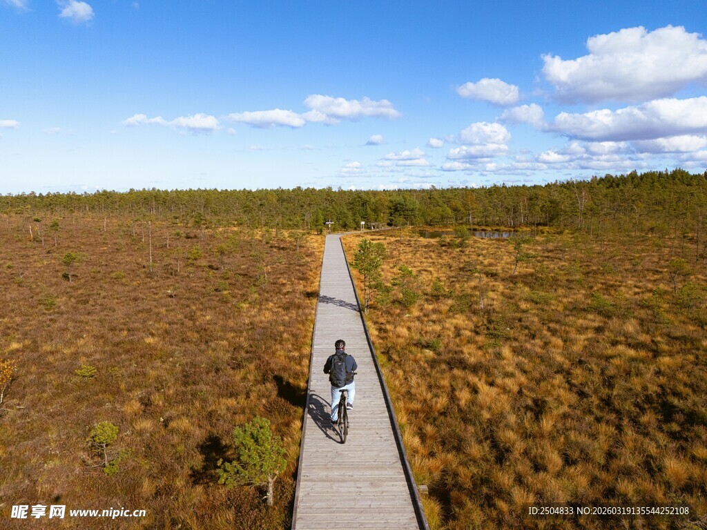 漫步湿地栈道赏自然风光