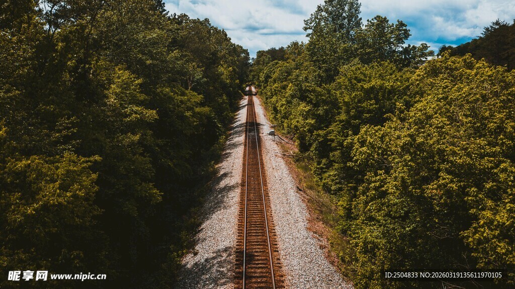 林间铁轨延伸向远方