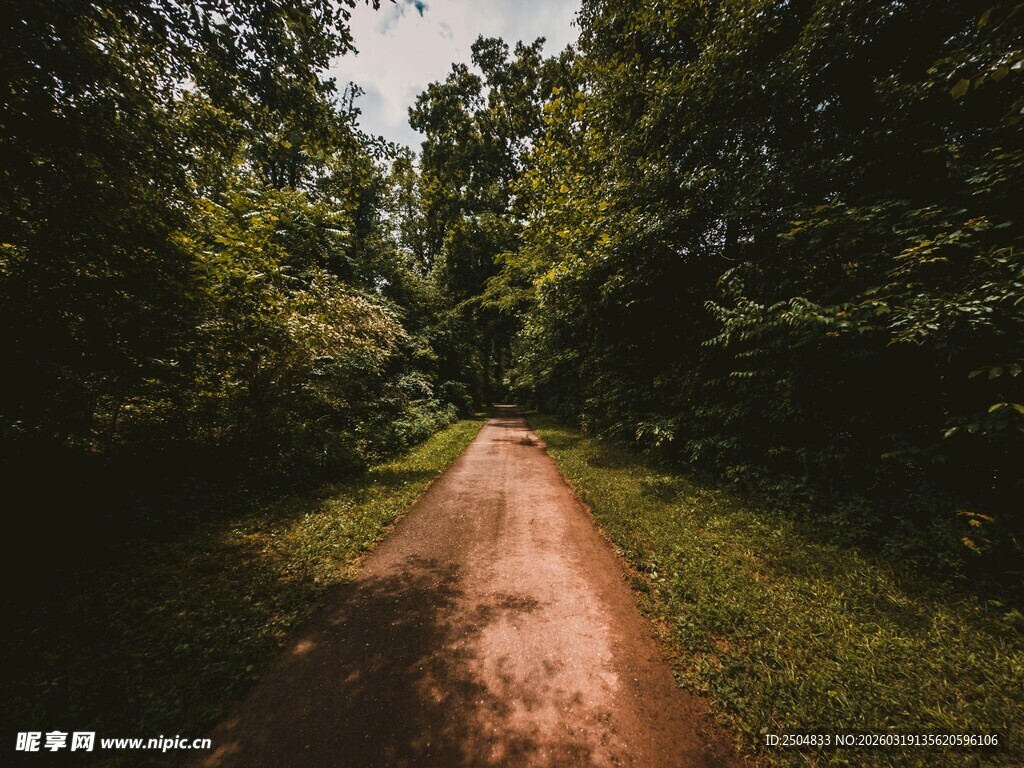 林间幽静土路