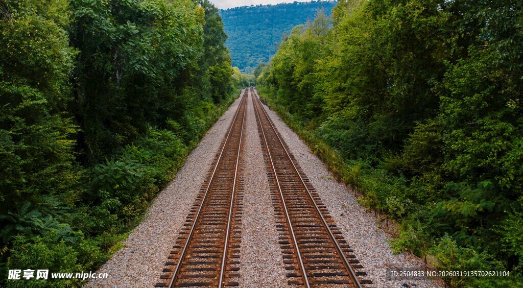 林间铁轨 延伸向远方