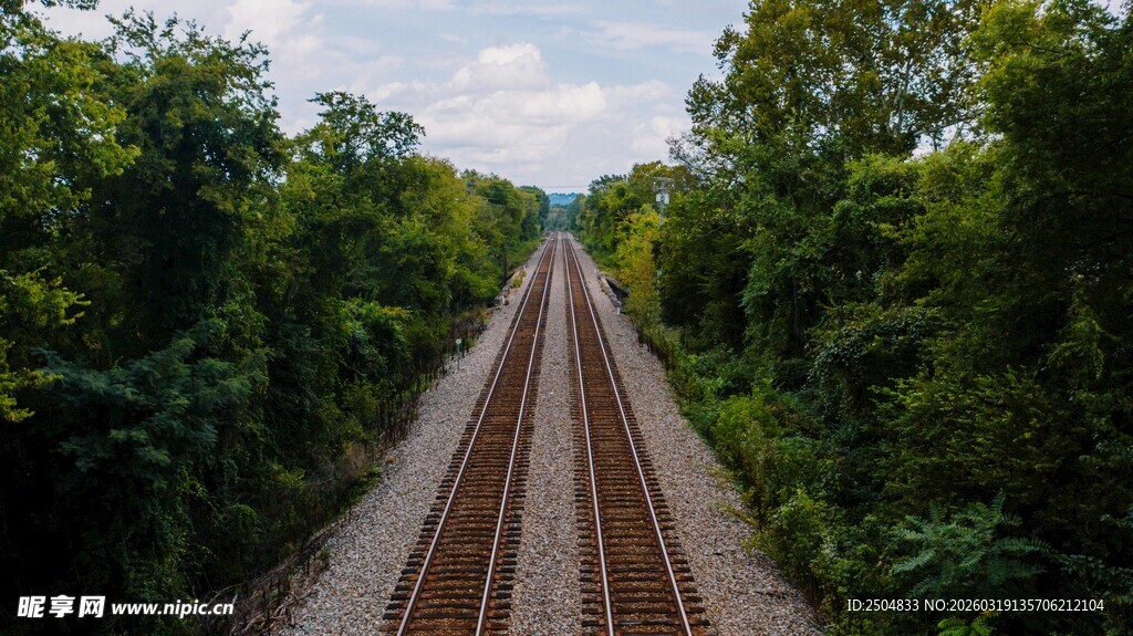 穿行林间的铁轨