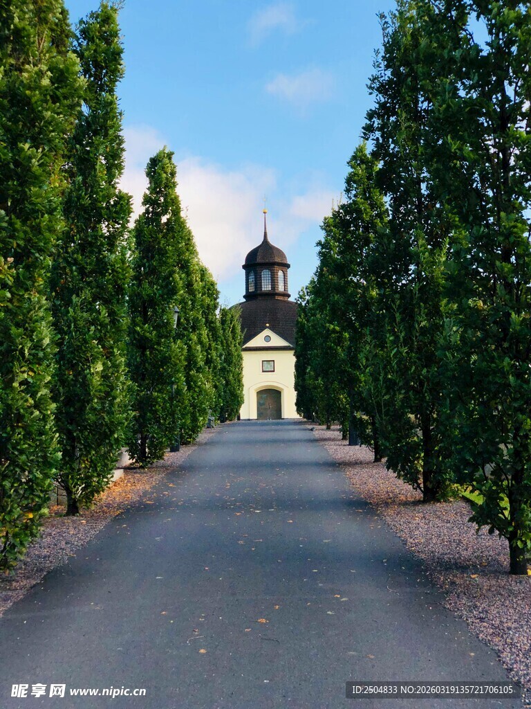 林荫小道尽头的白色建筑