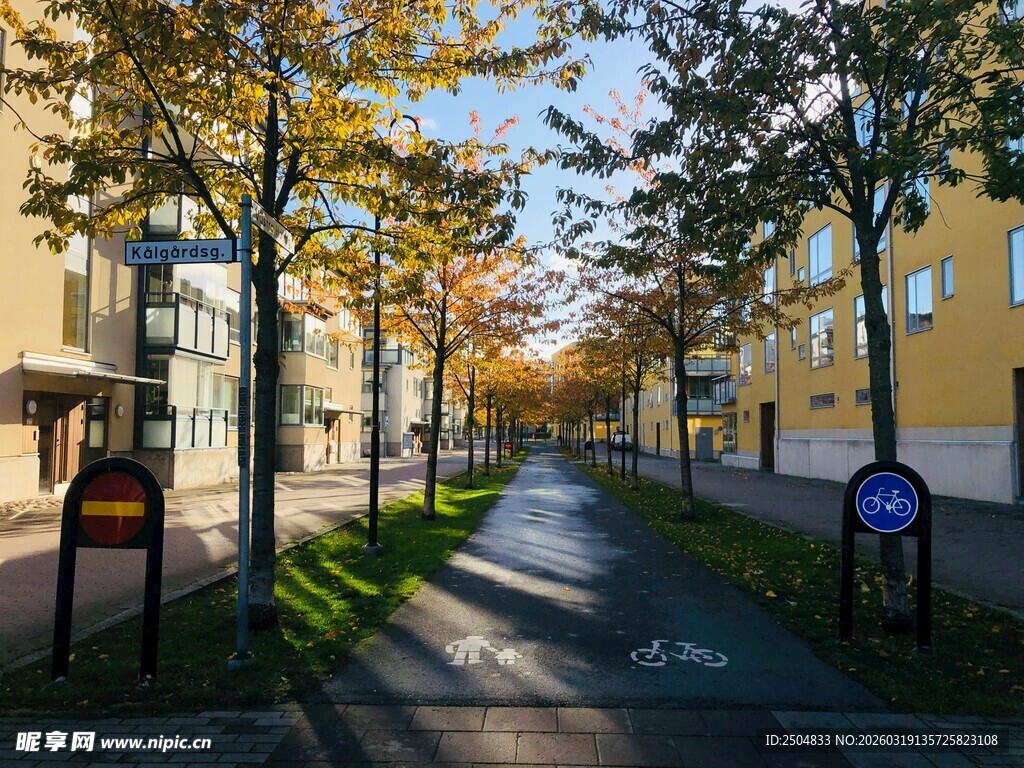 秋日街道的静谧风光