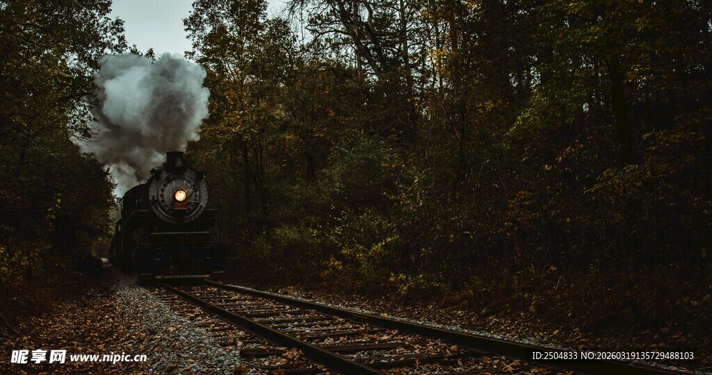 林间铁轨上的蒸汽景象