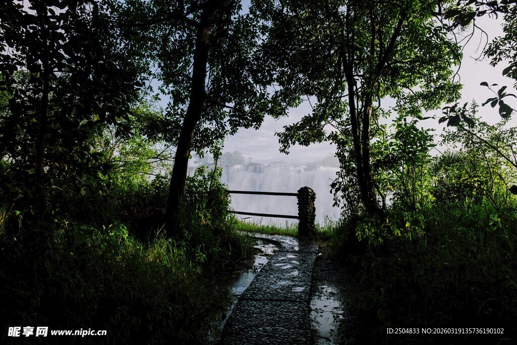 林间小径通往静谧之地