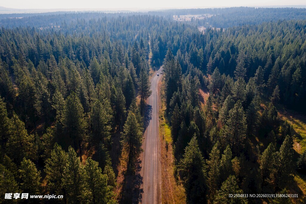 俯瞰林间蜿蜒道路