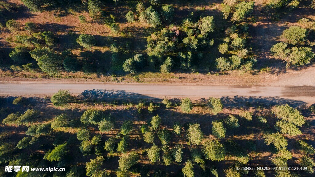 空中俯瞰绿意盎然的道路