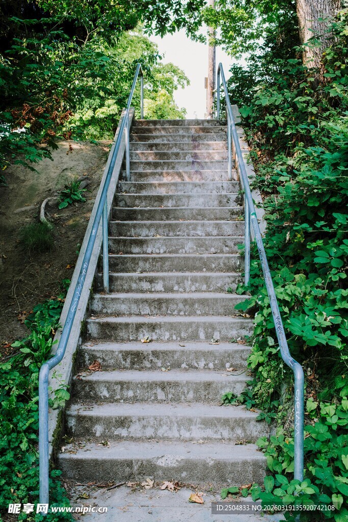 林间石阶小路绿意盎然