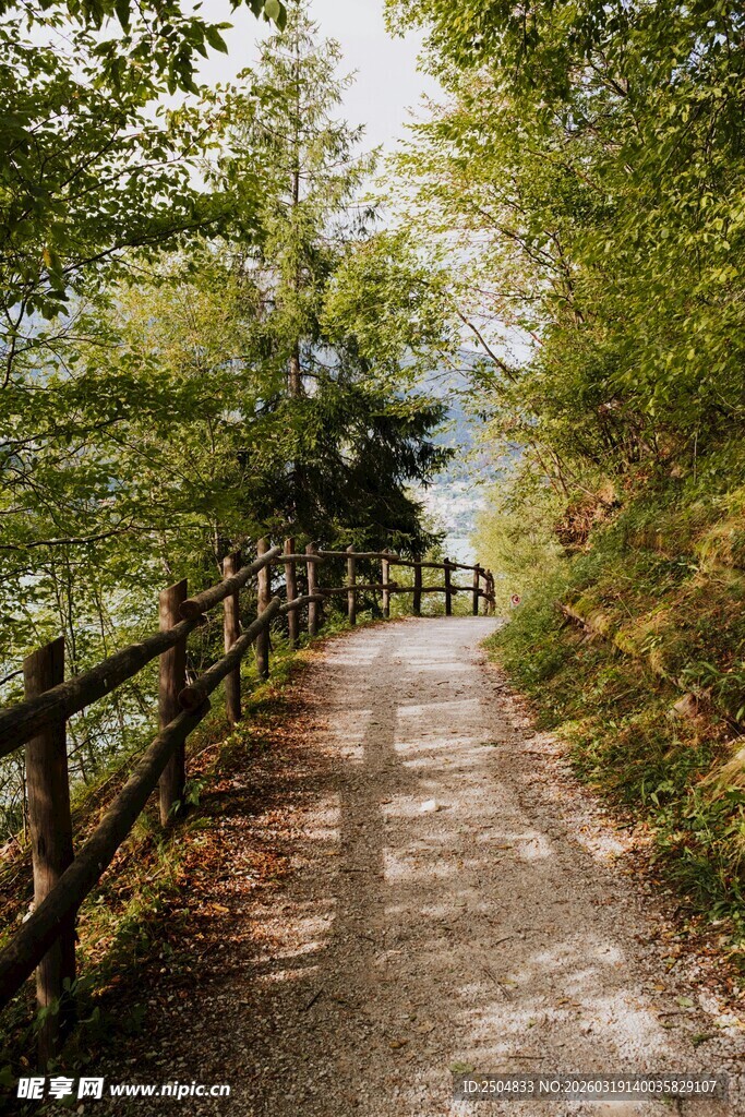 林间木栏小径