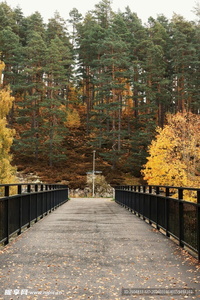 秋日林间桥景
