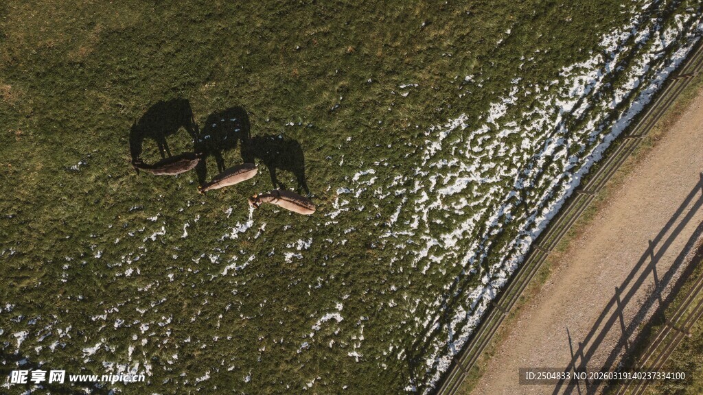 无人机喷洒农田场景