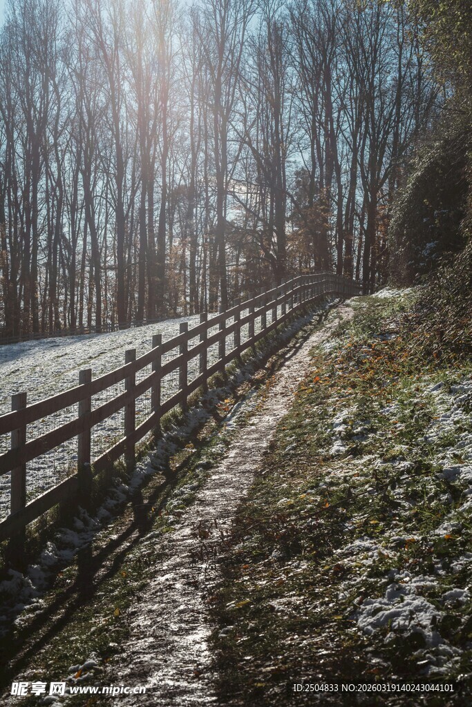 冬日林间小道 木栏覆薄雪