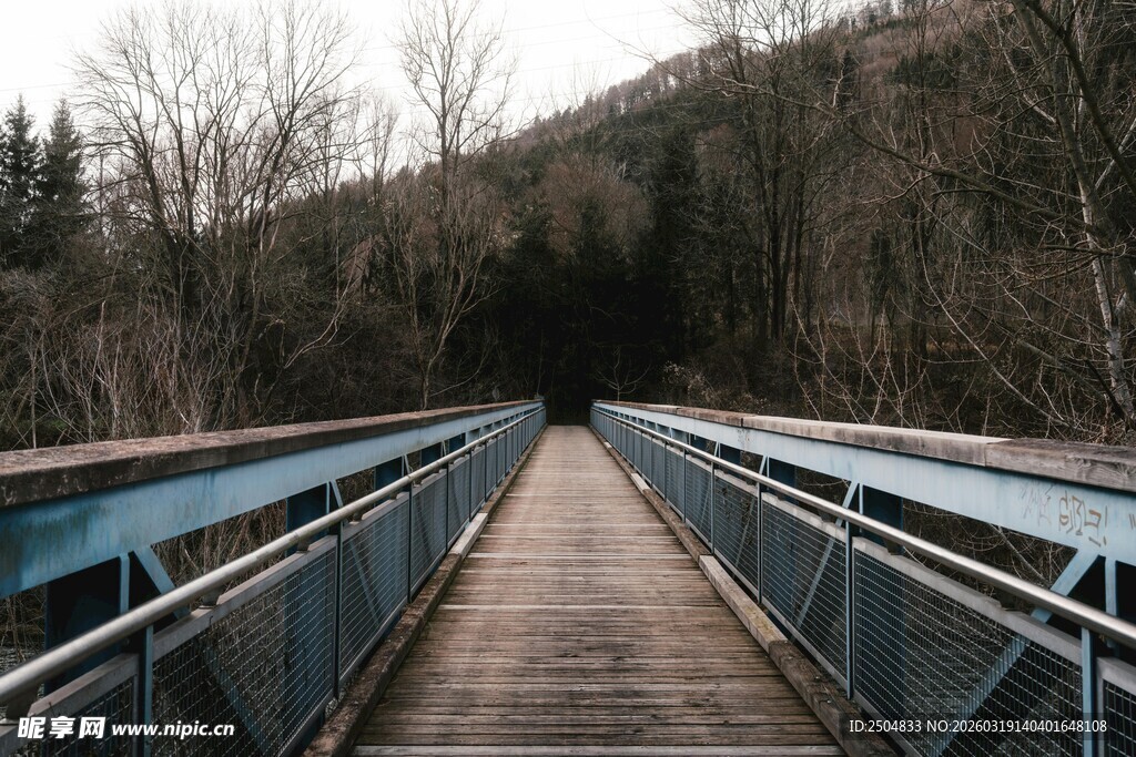 林间木桥通往静谧深处