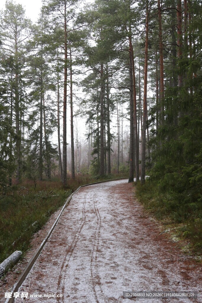 林间覆雪小道