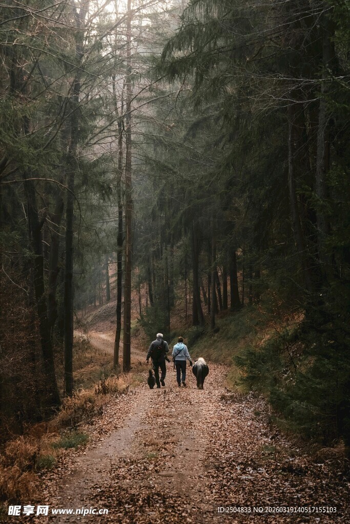 林间骑行的三人小队
