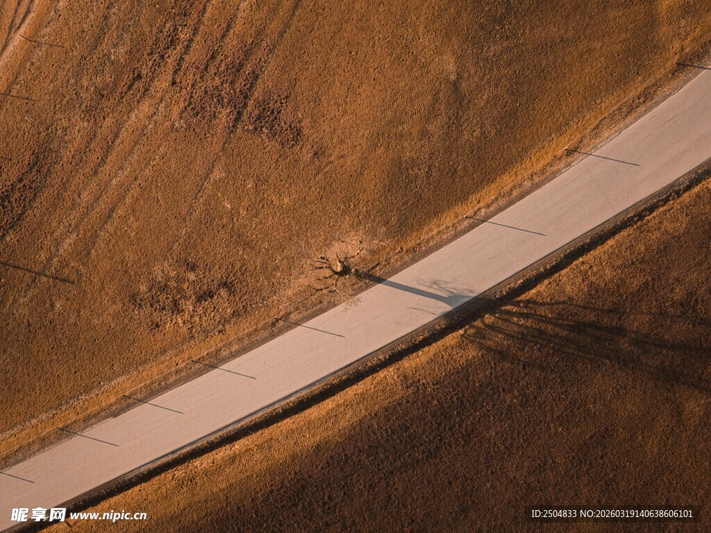 蜿蜒公路穿行广袤大地
