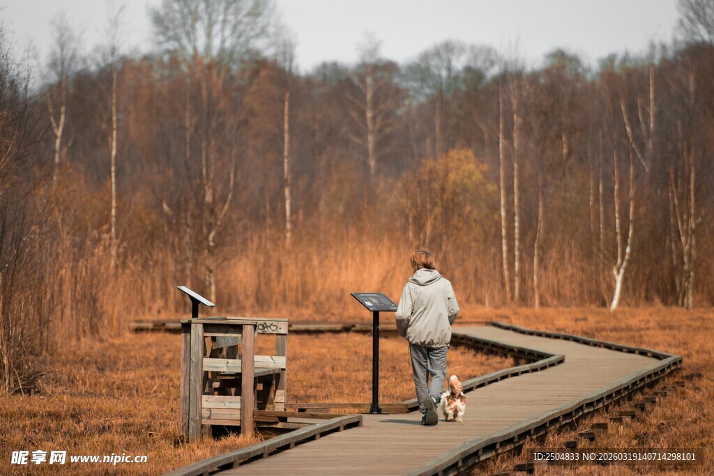 一人沿铁轨行走的户外景象