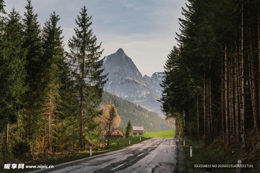 山间公路旁的茂密森林与远山