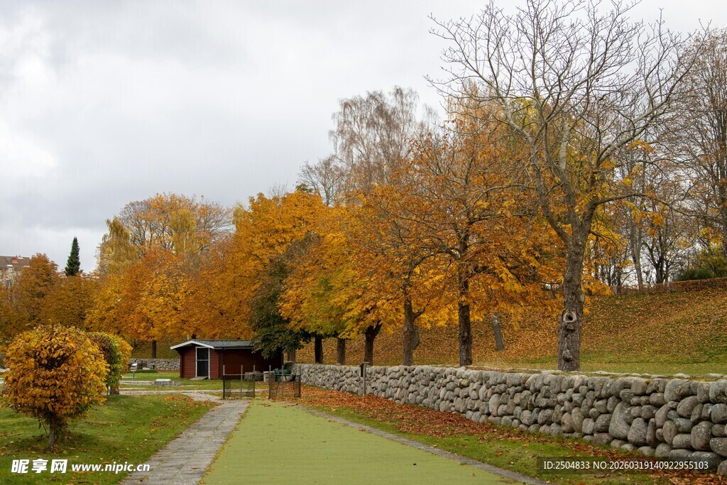 秋日林间小道美景