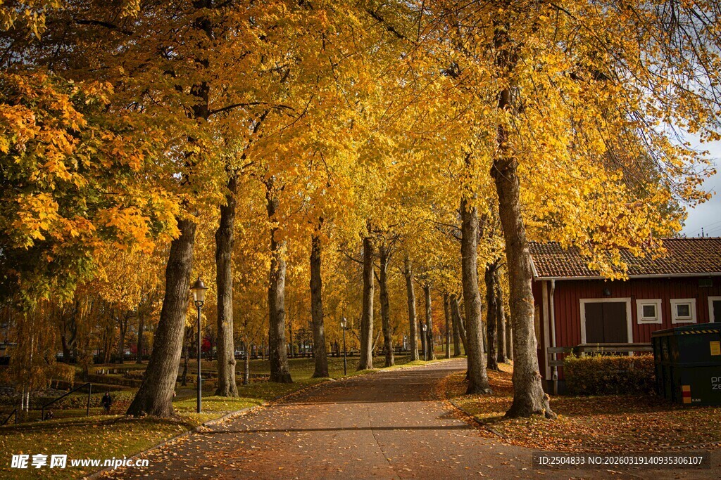 秋日林间小屋的静谧美景