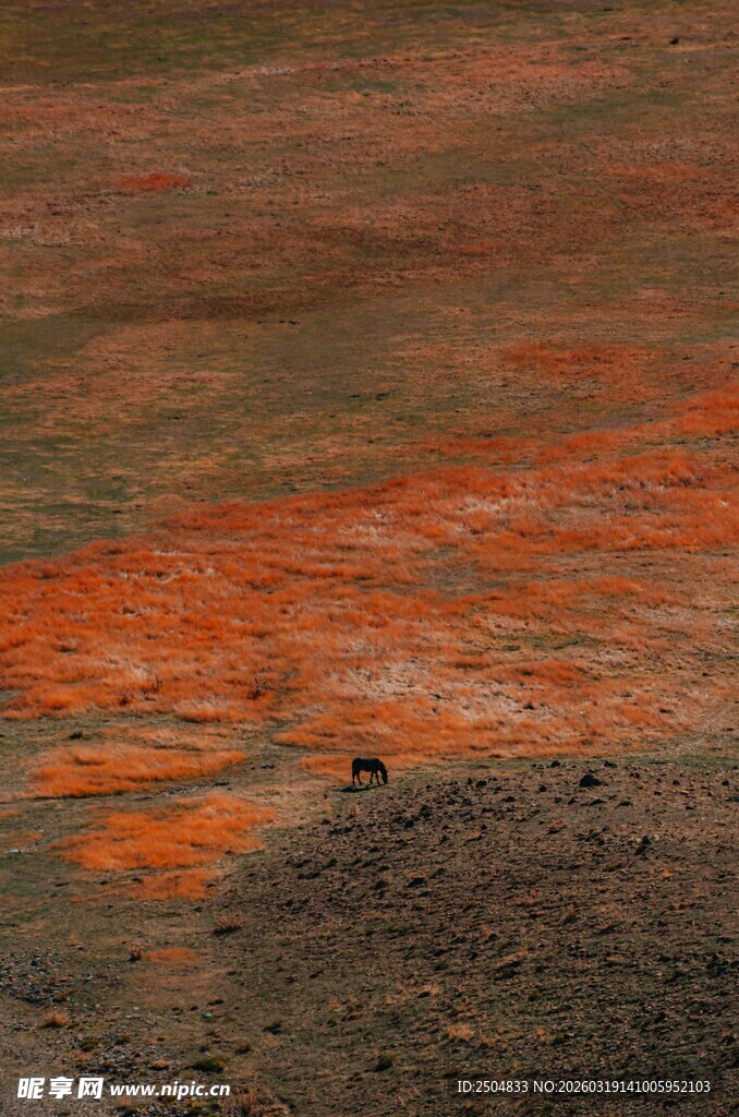 多彩地貌中的橙红色景观