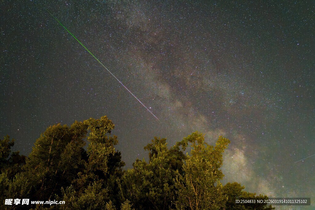 夜空流星划过树梢