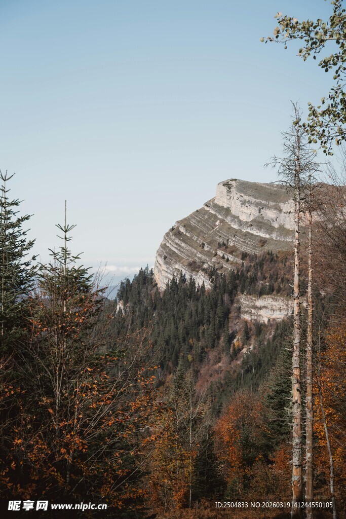 秋日山林中的巍峨岩石