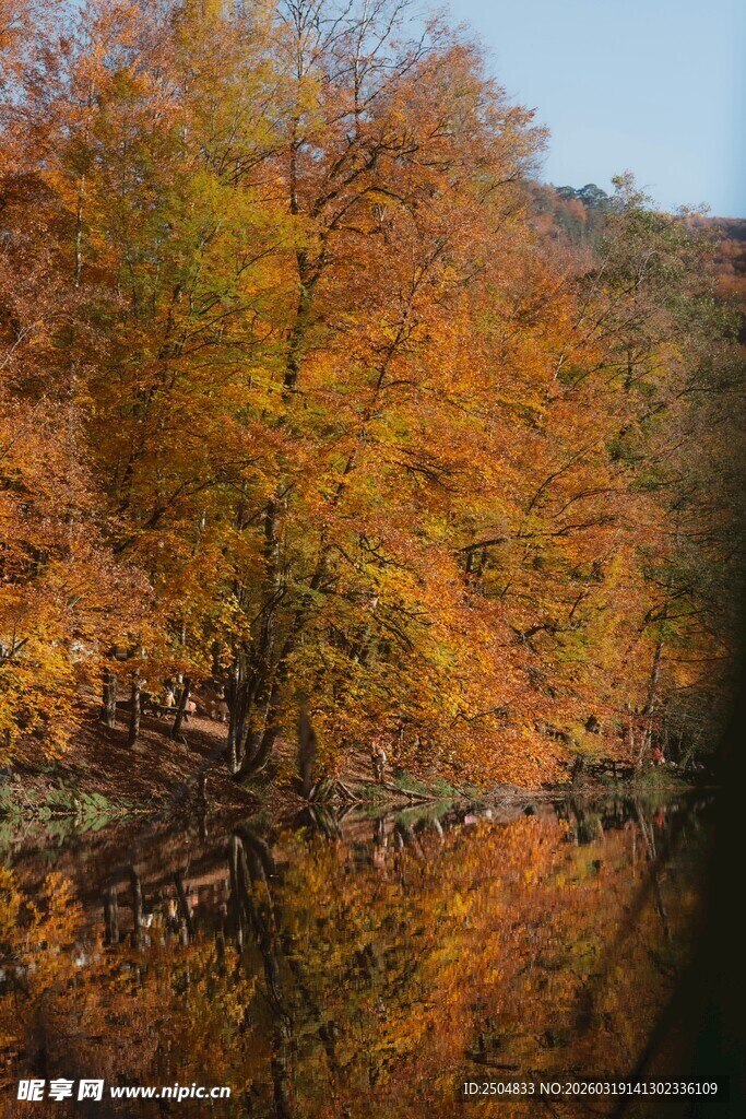 秋日河畔斑斓树林倒影