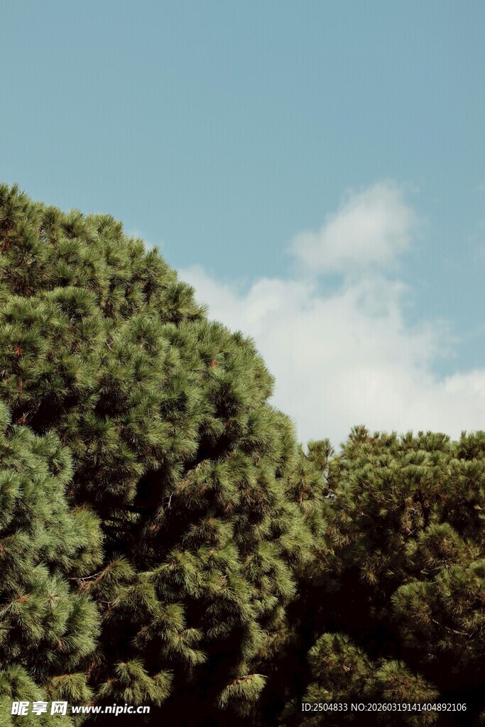 葱郁山林 蓝天白云相伴