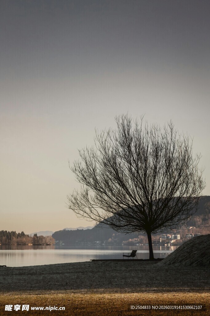 湖畔孤树 静赏黄昏美景
